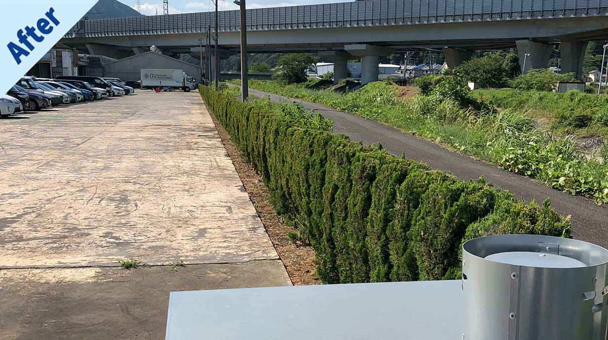 伐採・剪定・草刈り・草取り