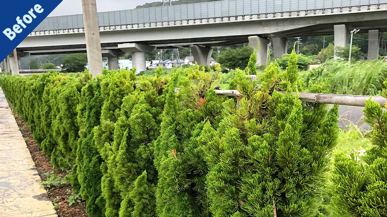 伐採・剪定・草刈り・草取り