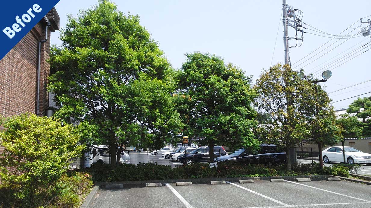 伐採・剪定・草刈り・草取り