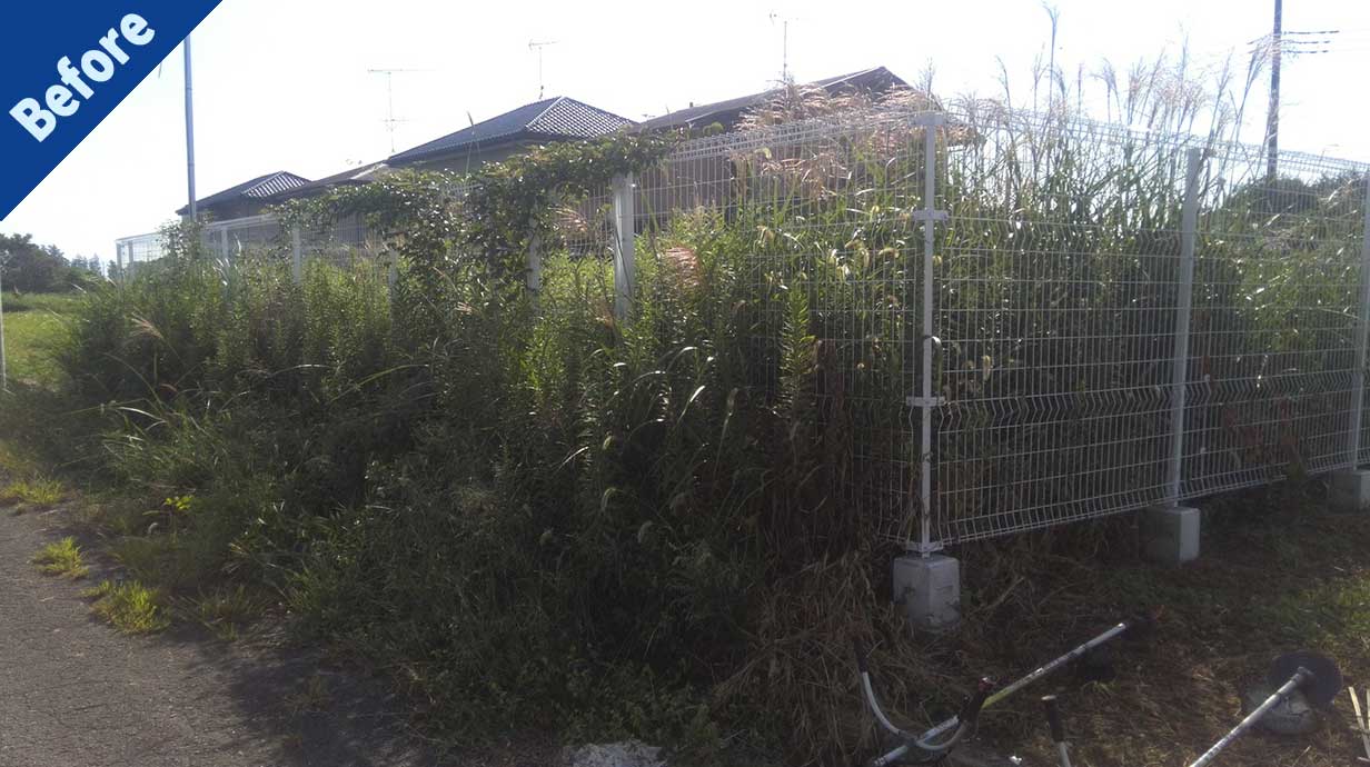 伐採・剪定・草刈り・草取り